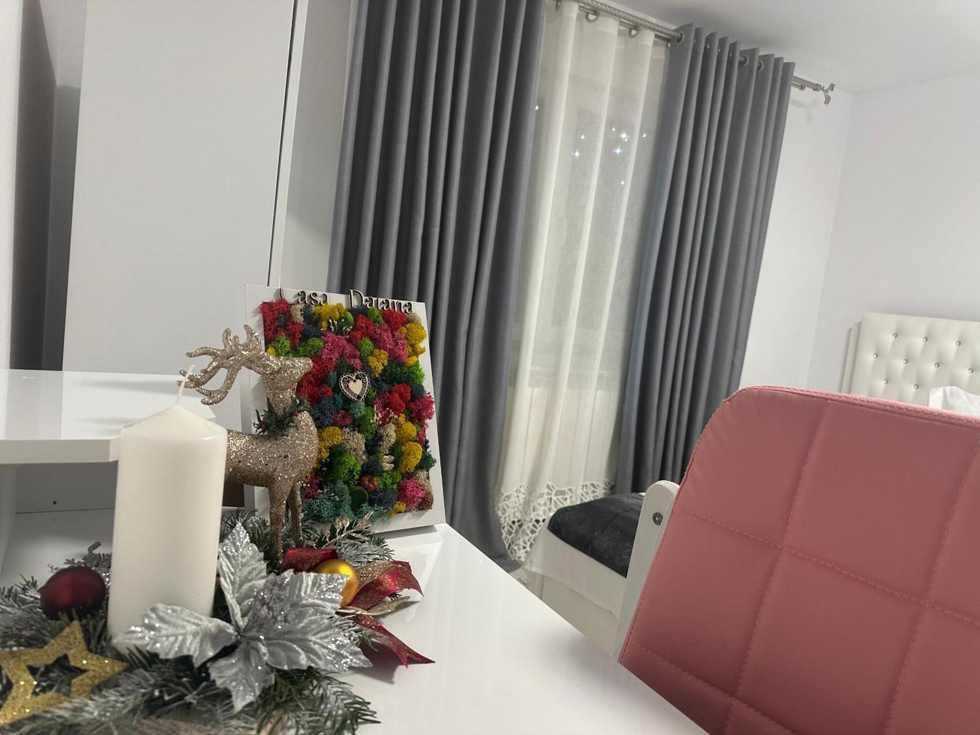 מלון מויסי Casa Daiana מראה חיצוני תמונה